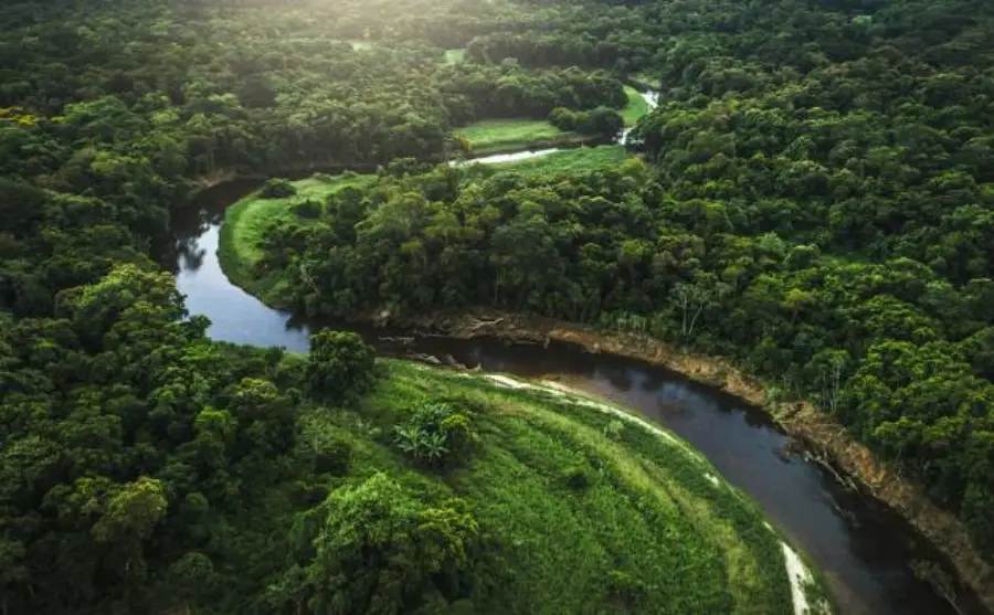 5- غابات الأمازون المطيرة (Amazon Rainforest)